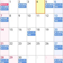 遊漁船 家入 釣果