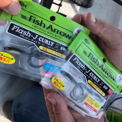 龍神丸（鹿児島） 釣果