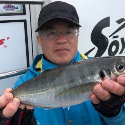 Soyamaru 釣果