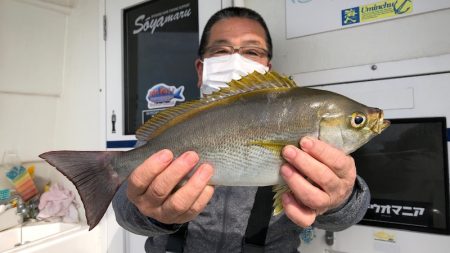 Soyamaru 釣果