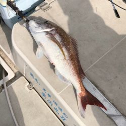 末広丸(熊本) 釣果