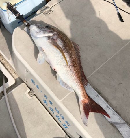 末広丸(熊本) 釣果