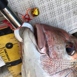 龍神丸（鹿児島） 釣果