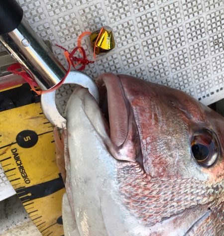 龍神丸（鹿児島） 釣果