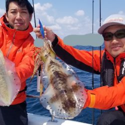 ソルトウォーターガイドフレンズ 釣果