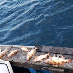海龍丸（石川） 釣果