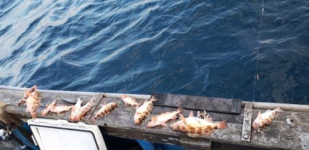 海龍丸（石川） 釣果