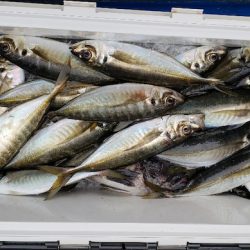 海龍丸（石川） 釣果