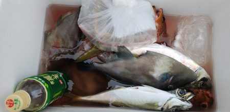海龍丸（石川） 釣果