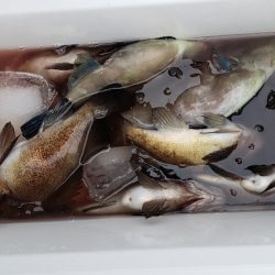 海龍丸（石川） 釣果