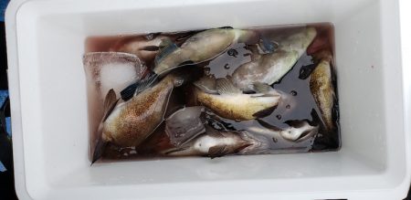 海龍丸（石川） 釣果