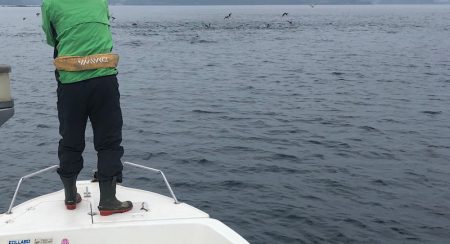 「LaGooN」蒼陽丸 日和号　 釣果