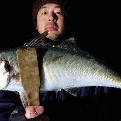 シースナイパー海龍 釣果