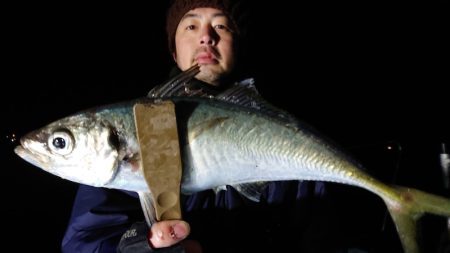 シースナイパー海龍 釣果