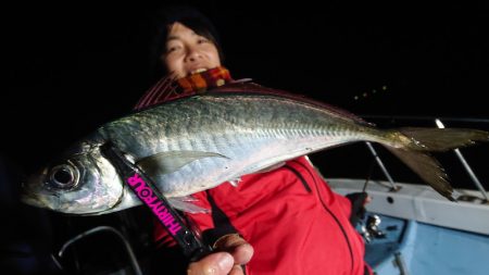 シースナイパー海龍 釣果