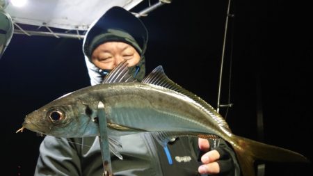シースナイパー海龍 釣果