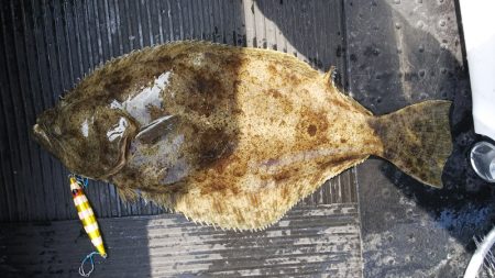 第二龍勢丸 釣果