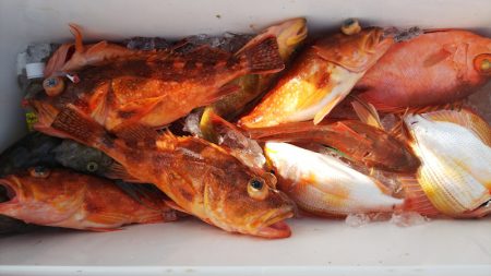 第二龍勢丸 釣果