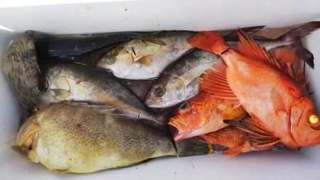 第二龍勢丸 釣果