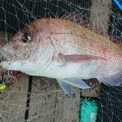 和栄丸 釣果