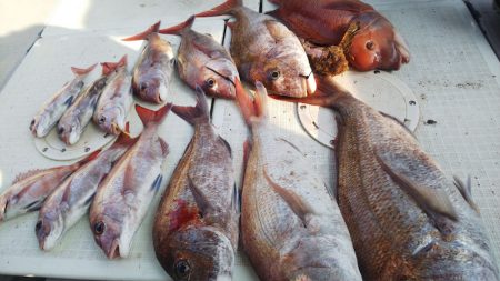 タイラバ遊漁船 ワンピース 釣果