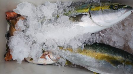 第二龍勢丸 釣果