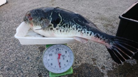 第三共栄丸 釣果