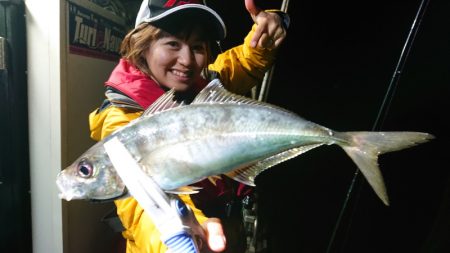 シースナイパー海龍 釣果