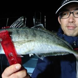 シースナイパー海龍 釣果