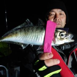 シースナイパー海龍 釣果