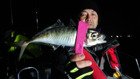 シースナイパー海龍 釣果