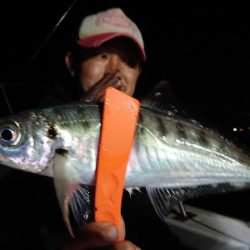 シースナイパー海龍 釣果