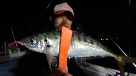 シースナイパー海龍 釣果