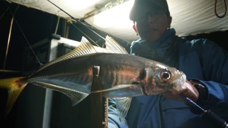 シースナイパー海龍 釣果