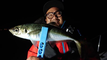 シースナイパー海龍 釣果