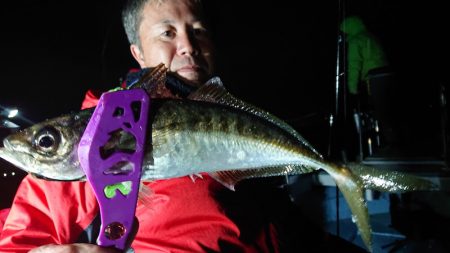 シースナイパー海龍 釣果