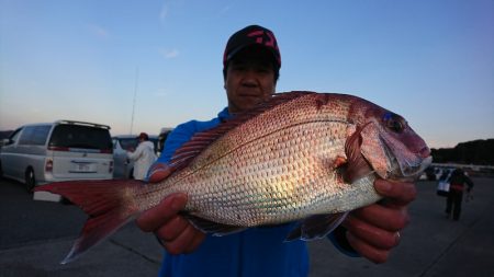 第三共栄丸 釣果