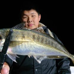 シースナイパー海龍 釣果