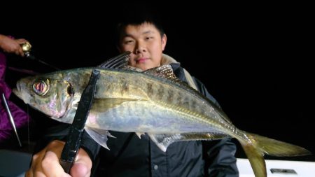 シースナイパー海龍 釣果
