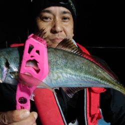 シースナイパー海龍 釣果