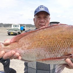 第三共栄丸 釣果