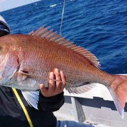 海皇丸 釣果