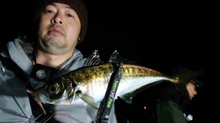 シースナイパー海龍 釣果