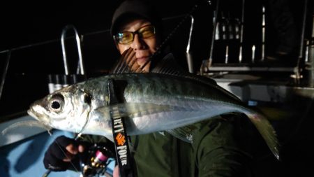 シースナイパー海龍 釣果