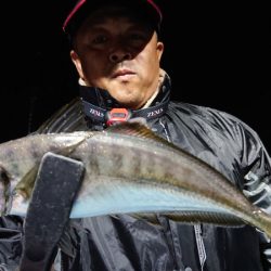 シースナイパー海龍 釣果