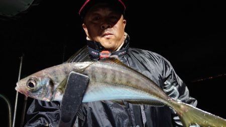 シースナイパー海龍 釣果