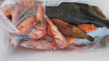 第二龍勢丸 釣果