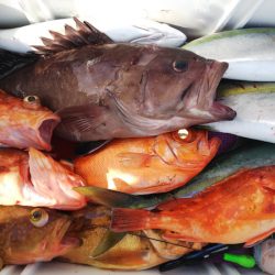 第二龍勢丸 釣果