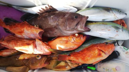 第二龍勢丸 釣果