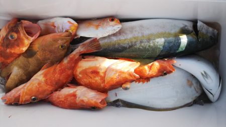 第二龍勢丸 釣果